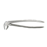 Adult Extraction Forcep, FXX22 - Osung USA