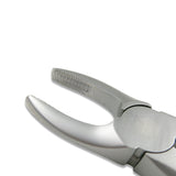 Adult Extraction Forcep, FXX2 - Osung USA