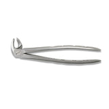 Adult Extraction Forcep, FXX22 - Osung USA