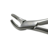 Dental Extraction Forcep LOWER TERRIORS ANTERIOR, FX151 - Osung USA