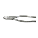 Dental Extraction Forcep PREMOLARS, FX101 - Osung USA