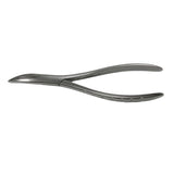 Dental Extraction Forcep UPPER ROOTS, FX300 - Osung USA