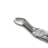 Adult Extraction Forcep, FXX67A - Osung USA