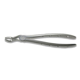 Adult Extraction Forcep, FXX67A - Osung USA
